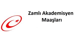 zamli akademisyen maaslari